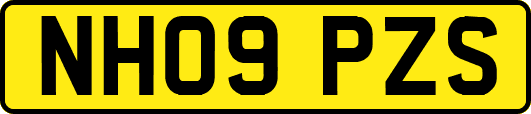 NH09PZS