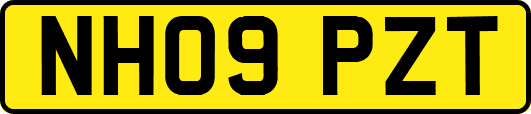 NH09PZT