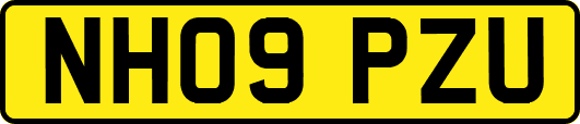 NH09PZU