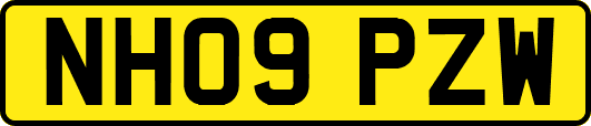 NH09PZW