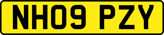 NH09PZY
