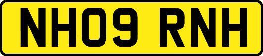 NH09RNH
