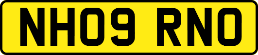 NH09RNO