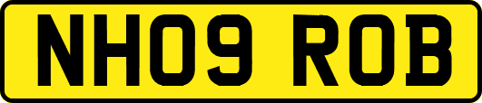 NH09ROB