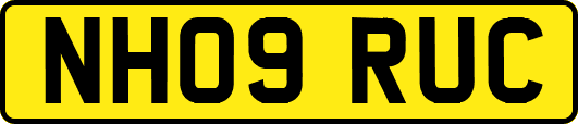 NH09RUC