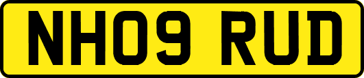 NH09RUD