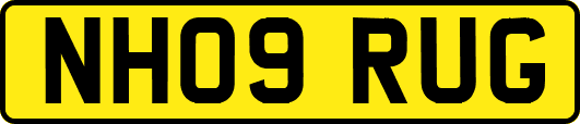 NH09RUG