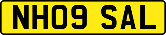 NH09SAL
