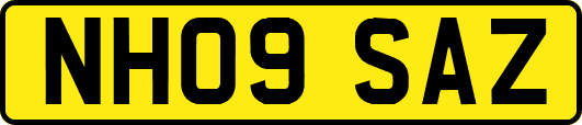 NH09SAZ