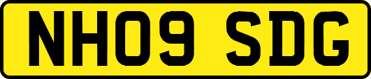 NH09SDG