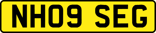 NH09SEG