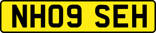 NH09SEH
