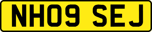 NH09SEJ