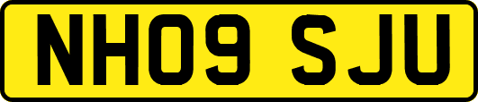 NH09SJU
