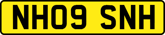 NH09SNH