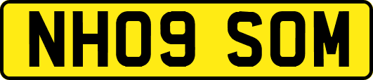 NH09SOM