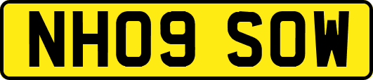 NH09SOW