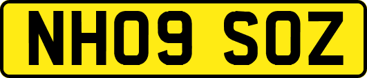 NH09SOZ