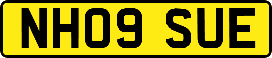 NH09SUE