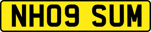 NH09SUM