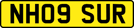NH09SUR
