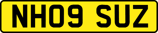 NH09SUZ
