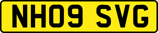 NH09SVG