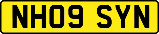 NH09SYN