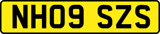 NH09SZS