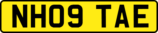 NH09TAE