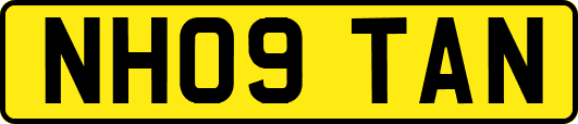 NH09TAN
