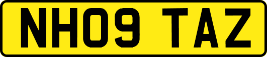 NH09TAZ