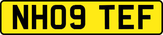 NH09TEF