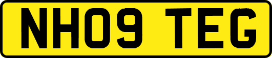 NH09TEG