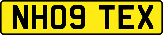 NH09TEX