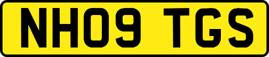 NH09TGS