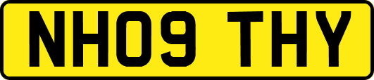 NH09THY