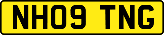 NH09TNG