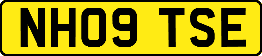 NH09TSE