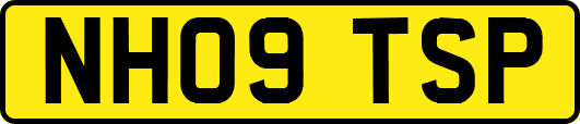 NH09TSP
