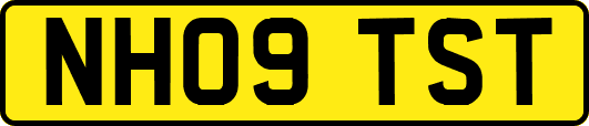 NH09TST