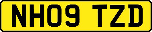 NH09TZD