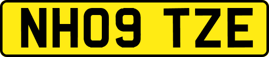 NH09TZE