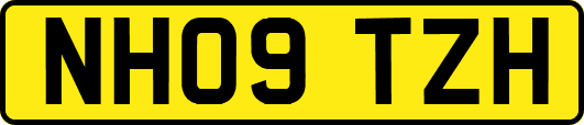 NH09TZH