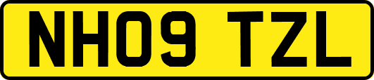 NH09TZL