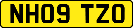 NH09TZO
