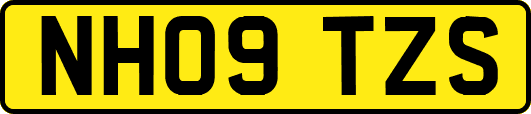 NH09TZS