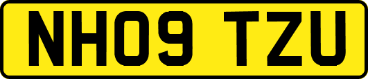 NH09TZU