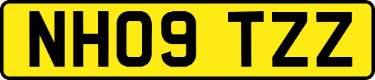 NH09TZZ