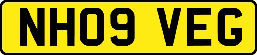 NH09VEG
